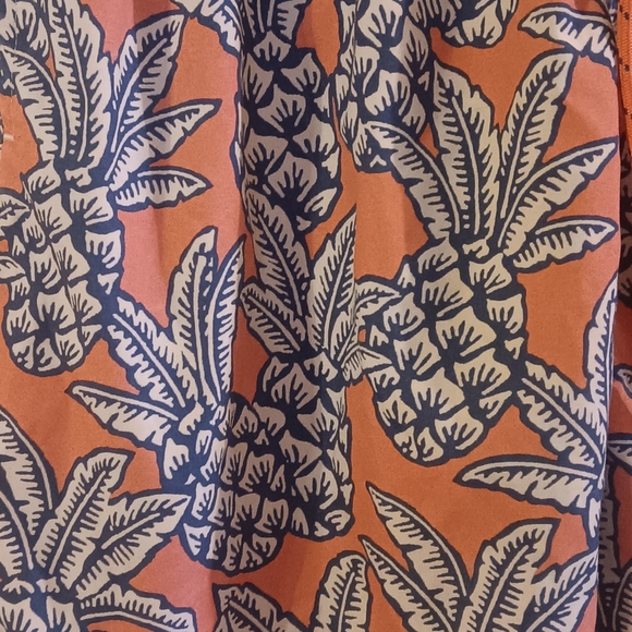 George Coral and Blue Pineapple Swim Trunks - Picture 2 of 4
